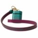 Dolce & Gabbana Airpods Pro Case Green Leather