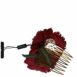 Dolce & Gabbana Carnation Flower Comb Hair Accessory