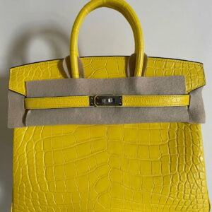 Hermes Mimosa Matte Alligator Birkin 25cm Palladium Hardware