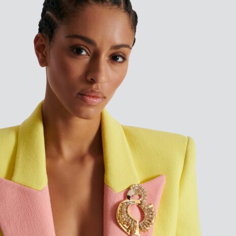 balmain_DN1XL360MBRY.A28_08