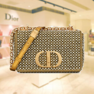 SMALL DIOR CARO BAG