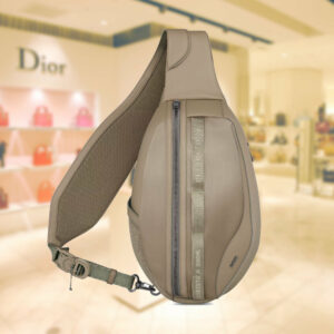 DIOR SCARAB BAG
