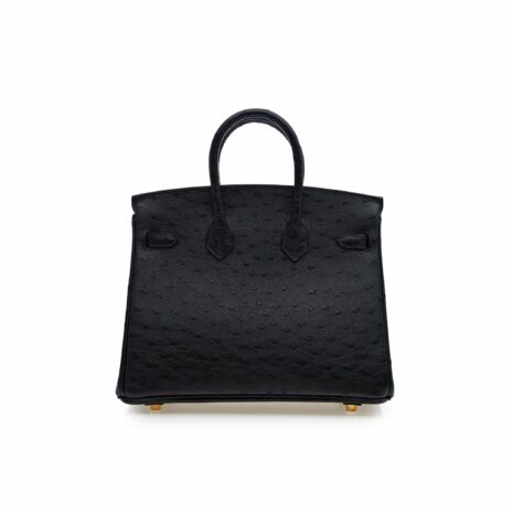 e-com_Hermes_Birkin25_Blackostrich_02