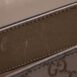 gucci-emily-extra-large06