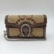 gucci-gg-dionysus-supermini-wallet-on-chain-crossbody-bag-353601