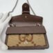 gucci-gg-dionysus-supermini-wallet-on-chain-crossbody-bag-729703