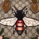 gucci_gg_supreme_bee_boston02