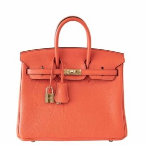 Hermes Birkin 25 Bag Orange Poppy Gold Hardware
