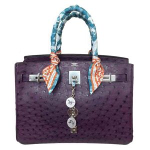 Hermes Birkin 30 Raisin Ostrich Bag