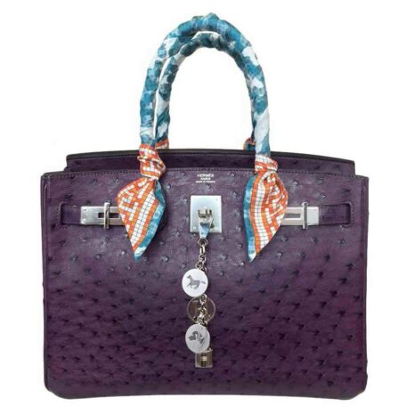 hermes-birkin-30-ostrich-raisin-used-front_26d0ad2e-f203-4cd0-ad81-83720bc8095f