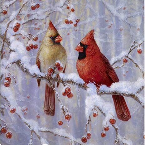 Red Cardinal Shower Curtain