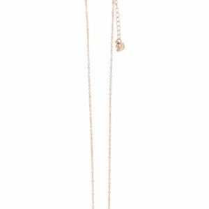 Swarovski Hint Necklace