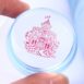 The Born Pretty Clear Jelly Silicone Stamper with Metallic Handle and Scraper Set
