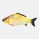 product-image-1428101428