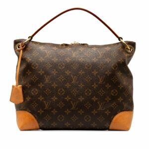 Brown LV Monogram Berri PM Shoulder Bag