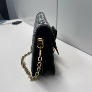 LV Canvas & Leather Chain Shoulder Bag