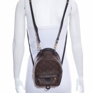LV 2022 "Mini Palm Springs" Monogram Backpack