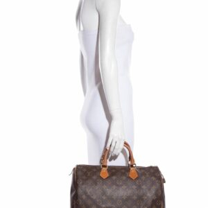 LV fresh '10 Speedy Monogram Handbag