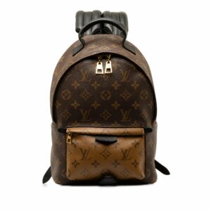 Brown LV Monogram Reverse Palm Springs PM Backpack
