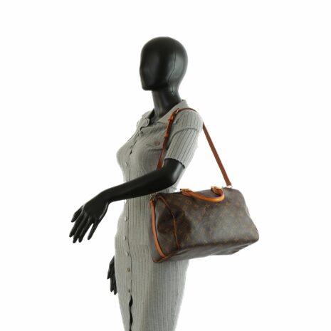 LV_4069-31_e2077f7f-ca2a-4091-8d23-7fbb92b43c14 LV_4069-31_e2077f7f-ca2a-4091-8d23-7fbb92b43c14