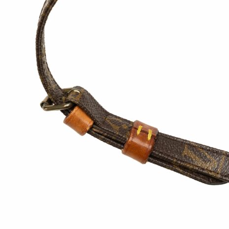 MTCBGLYHLIG76AAA_13 MTCBGLYHLIG76AAA_13