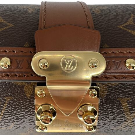 Monogram-papillon-trunk-7