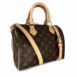 Monogram-speedy-2