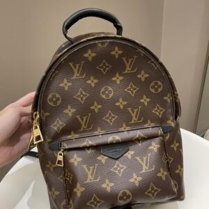 LV Palm Spring Backpack Classic Monogram