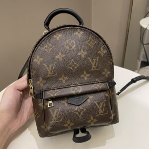 LV Palm Spring Mini Backpack Classic Monogram