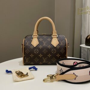 LV Speedy 20 Classic Monogram
