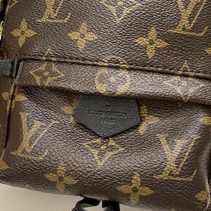 LV Palm Spring Mini Backpack Classic Monogram