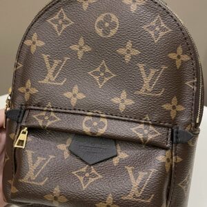 LV Palm Spring Mini Backpack Classic Monogram