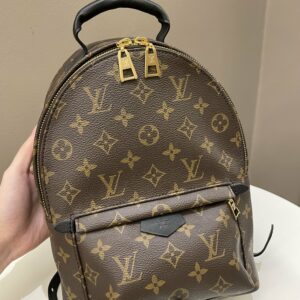 LV Palm Spring Backpack PM Classic Monogram