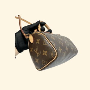 LV Speedy Nano Bag
