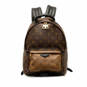 Brown LV Monogram Reverse Palm Springs PM Backpack