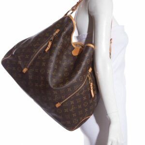 LV Brown Monogram Zipper Detail Hobo