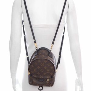 LV Brown Monogram Palm Springs Mini Backpack