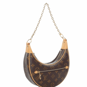 LV Monogram Loop shoulder bag