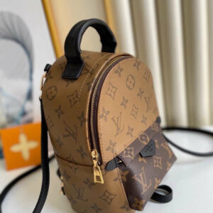 LV Palm spring Mini bag