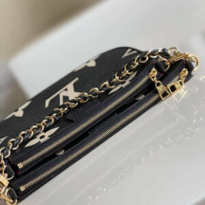 LV Multi-Pochette Accessories bag