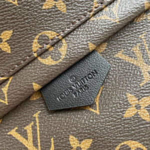 LV Palm Spring Mini Bag