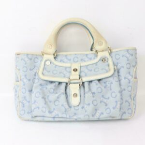 new Celine Hand Bag Light Blue Canvas (SHC1-14344)