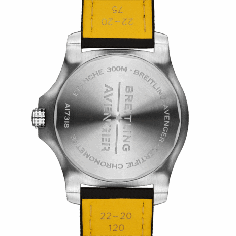 A17318101B1X2_2