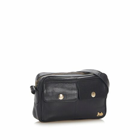 Celine-Carriage-Leather-Shoulder-Bag_137365_right_angle_0_parent