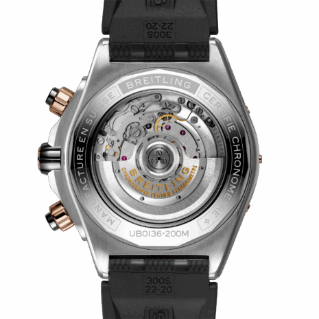 UB0136251L1S1_4
