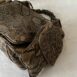 bottegavenetasankeskinbag_6