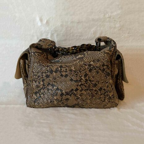 bottegavenetasankeskinbag_8 bottegavenetasankeskinbag_8
