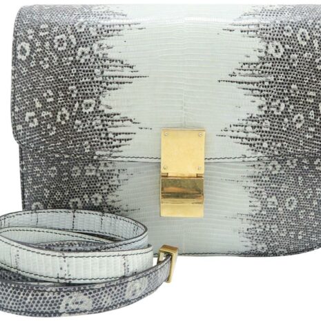 celine-classic-box-medium-multicolor-lizard-skin-leather-shoulder-bag-0-1-960-960_4b7ec2ae-fc4d-4ec6-9cac-c402e8b47b01