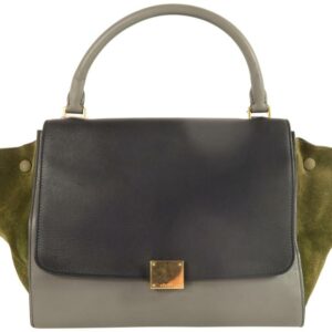Céline Trapeze Medium Multicolor Calfskin&deerskin Satchel