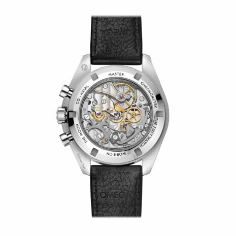 310.32.42.50.01.002back